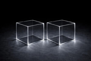 Lapisma Plexiboxar